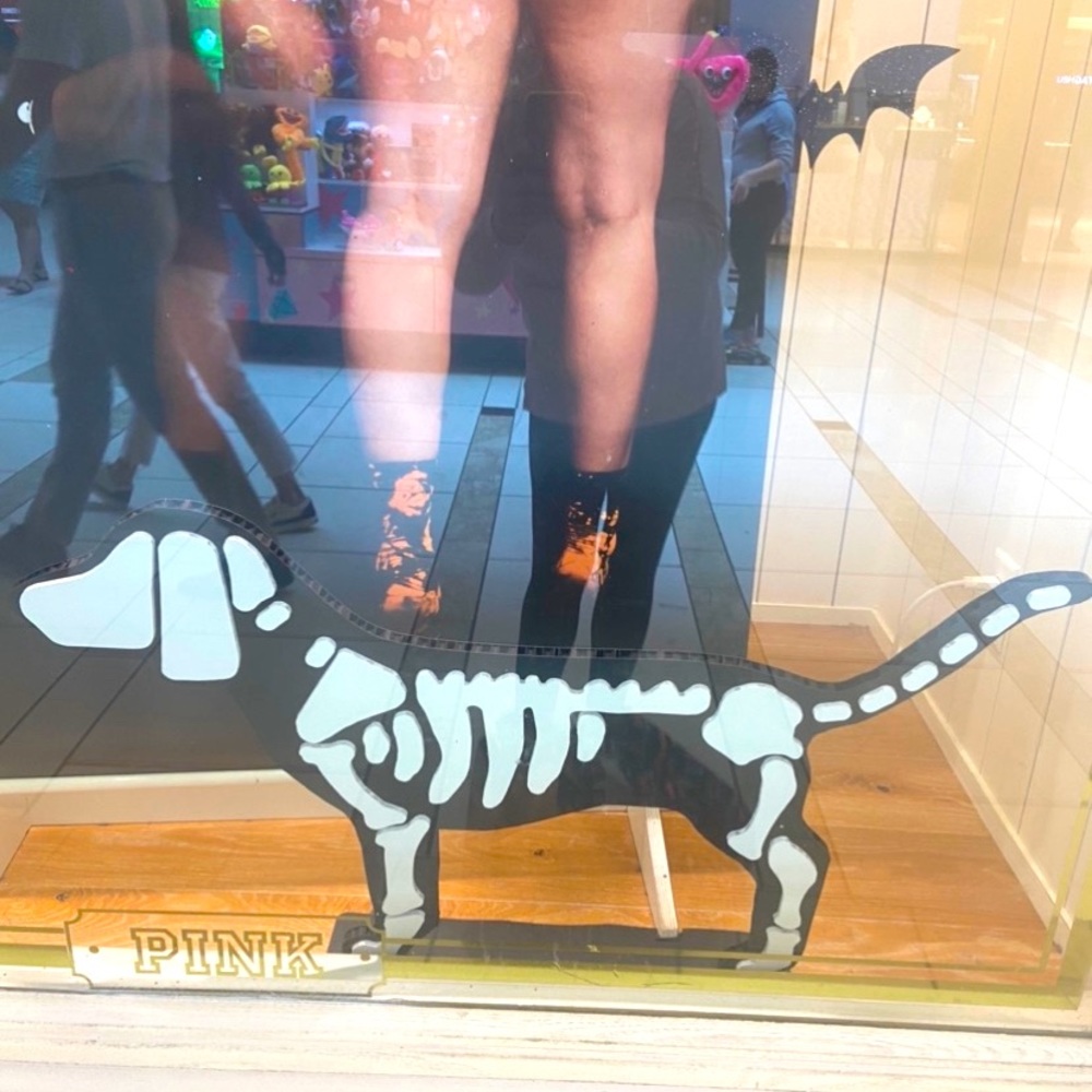 ISO Victorias secret pink skeleton Halloween dog display.